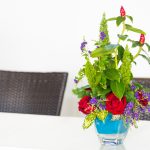 Idei pentru un decor cu plante suspendate în interior
