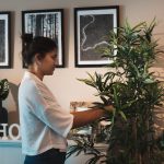 Idei de design biofilic pentru apartamente mici