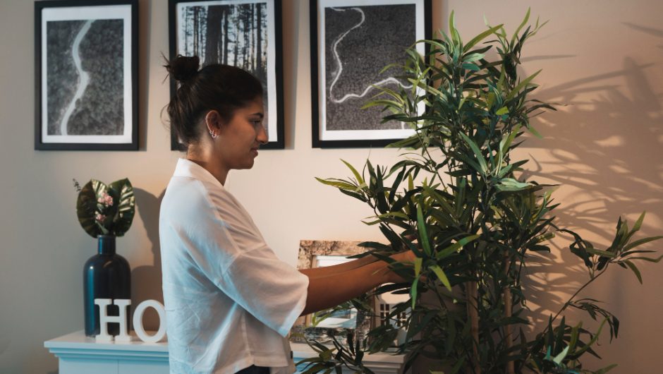 Idei de design biofilic pentru apartamente mici